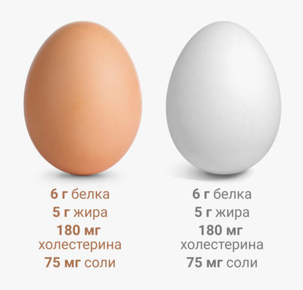 16 мифов о яйцах, в которые стыдно верить в XXI веке
