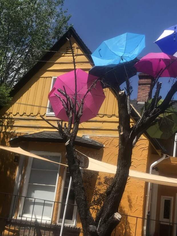 насобиралок пост