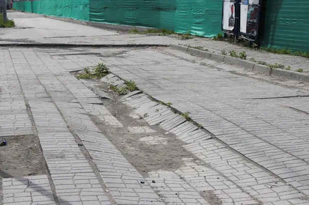 По кочкам, по кочкам, по маленьким дорожкам: разрабатывают систему навигации для самокатов по новосибирским тротуарам