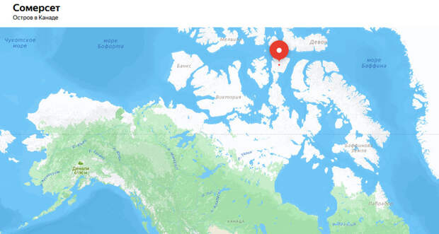 Смертельная встреча с помеченным медведем: нападение в арктической пустыне