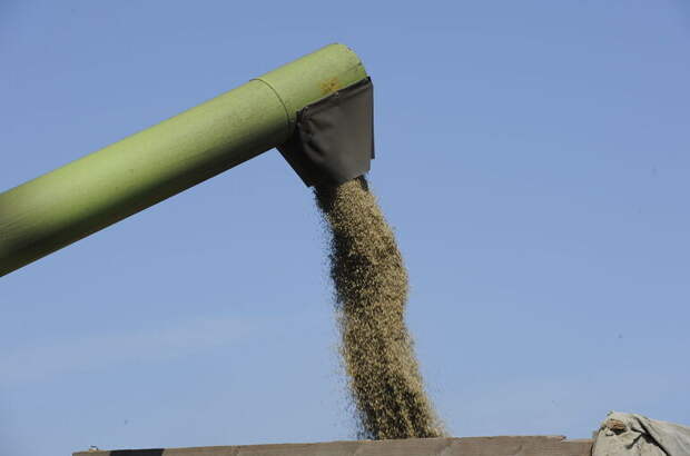 ФАС оштрафовала участников агрорынков на 2,6 млн рублей