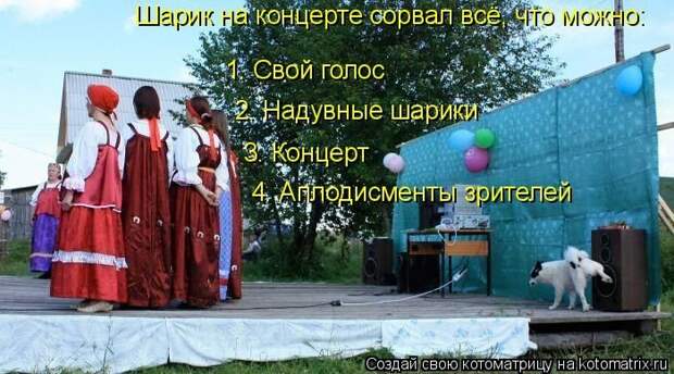 Котоматрицы великолепные, каждая с кусочком позитива и хорошего настроения!!!