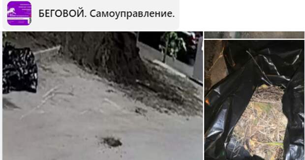 Подрядчику объяснили правила благоустройства на Беговой аллее — управа