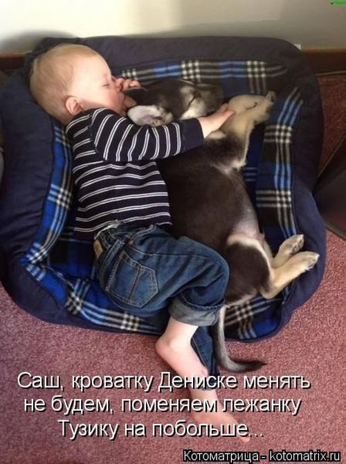 Лучшие котоматрицы недели