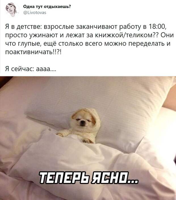 Смешные картинки вечер 28 мая 2021