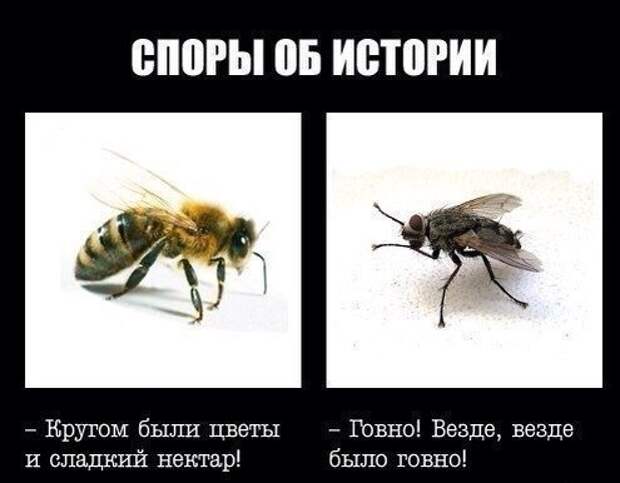 Кто во что вляпался (495x386, 30Kb)