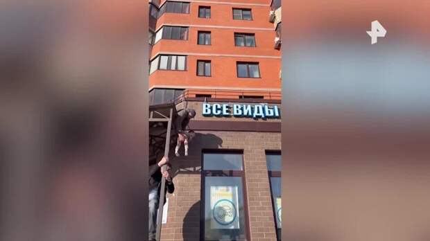 Прохожие спасли выпавшего из окна двухлетнего ребенка в Подмосковье
