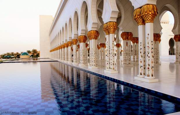 NewPix.ru - Мечеть шейха Зайда (Sheikh Zayed Mosque)