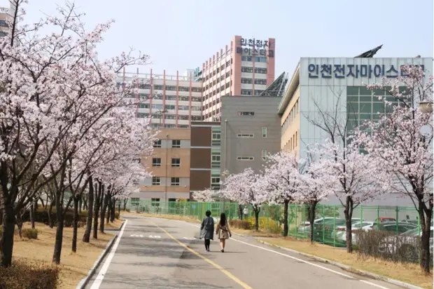 Куда поехать студентам из России и СНГ в нынешних условиях?