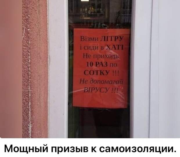 Политические комментарии из инета