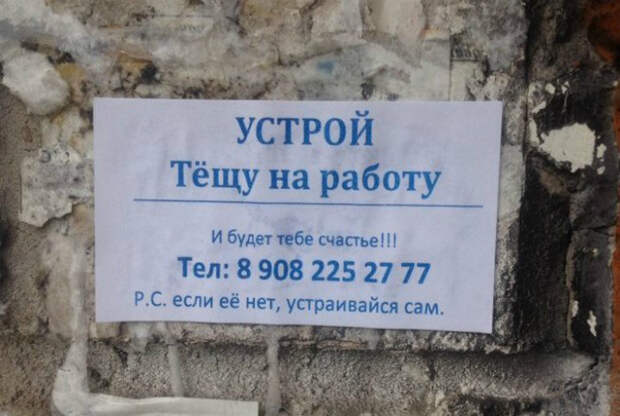 Работающая теща - путь к счастью и семейному благополучию. Работающая теща - путь к счастью и семейному благополучию.