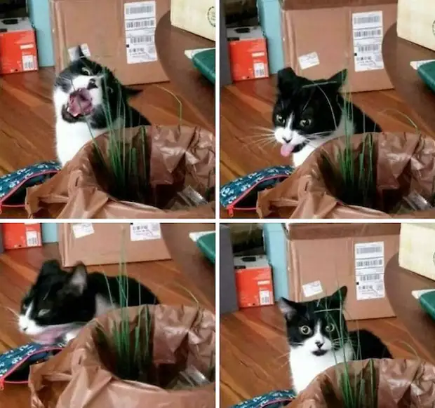 : 22      15 - BigPicture.ru