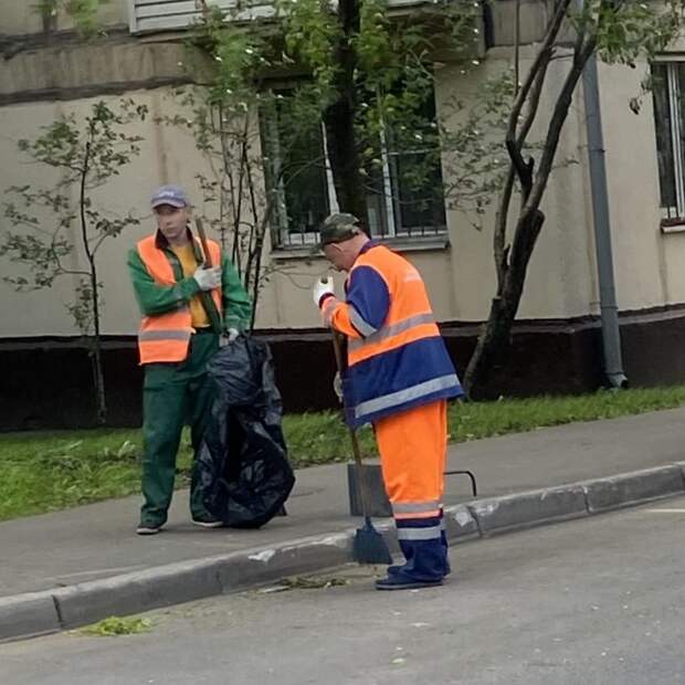 Пешеходные дорожки на улице Соколово-Мещерская очистили от травы — Жилищник