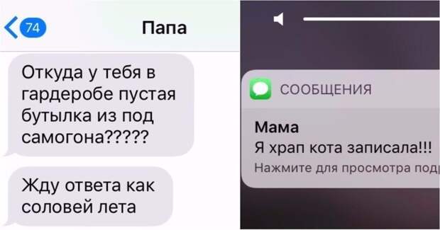 Телефон в руках родителей превращается в генератор шуток (21 фото) Телефон в руках родителей превращается в генератор шуток (21 фото)
