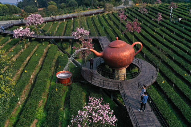 22848955_original (700x466, 492Kb)