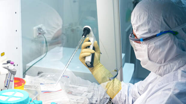 Роспотребнадзор сообщил о сохранении рисков завоза оспы обезьян в турсезон