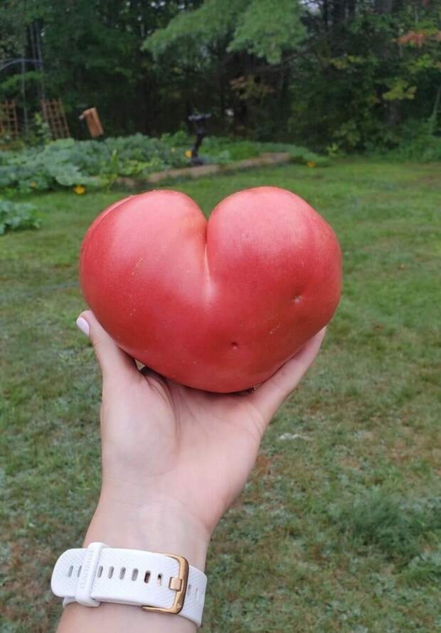 Фотоподборка