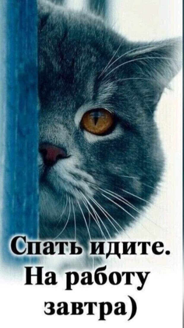 Донецкая группа новостей, Донецк ДНР