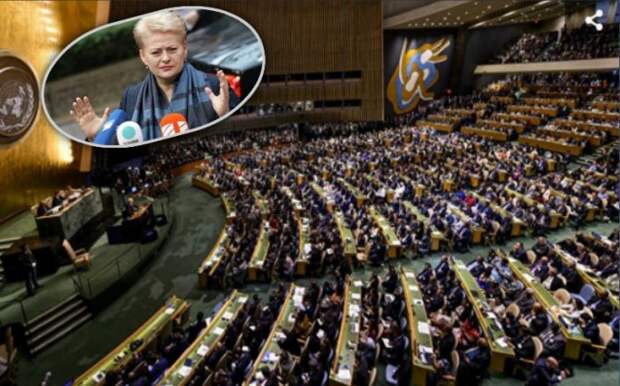 Российская делегация в ООН не стала слушать выступление президента Литвы