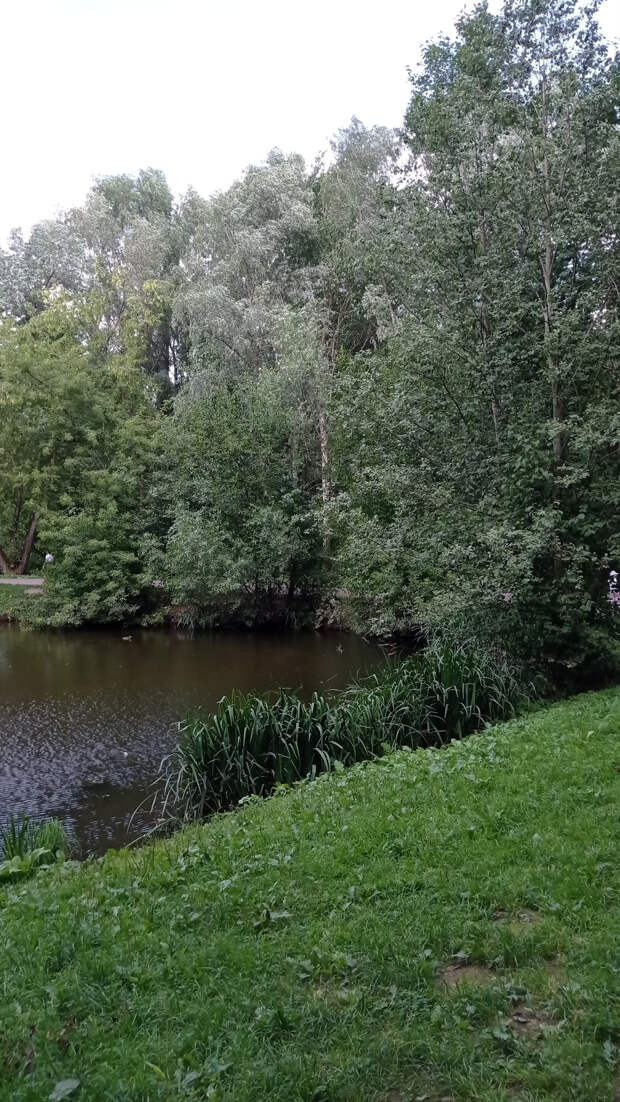 Прогулка в московский Ботанический сад