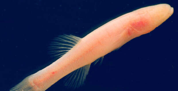 95dddf1a8d7a6f977030f6d702f7bda7