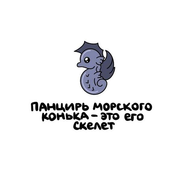 Интересные короткие факты на все случаи жизни