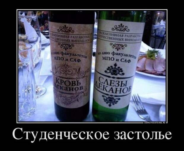 Демотиваторы в пятницу (11 шт)