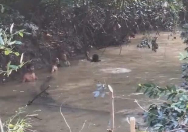 Селяне спасли 200-килограммового сома, пострадавшего от наводнения сом, Спасение, наводнение, длиннопост