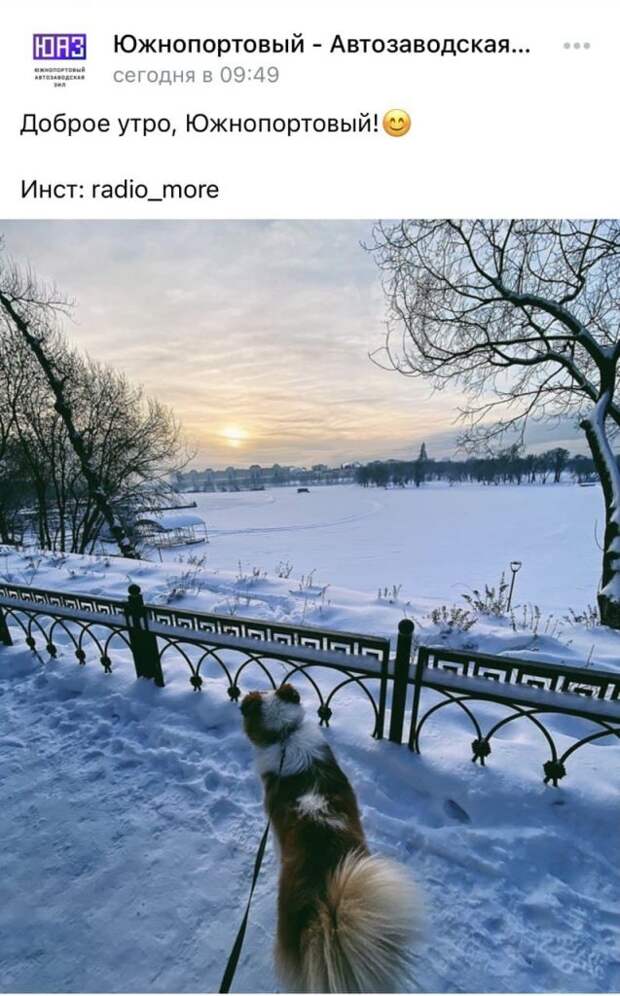 Фото дня: зимние прогулки в Южнопортовом