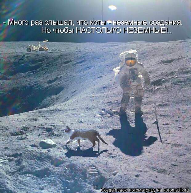 Котоматрица 2 (680x688, 105Kb)