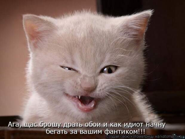 Мысли вслух :)