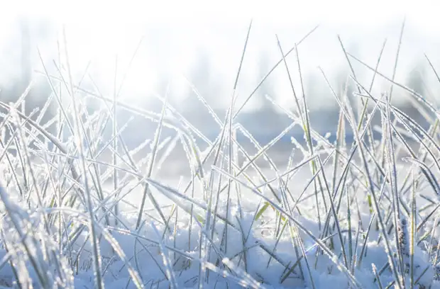 Красота при низких температурах