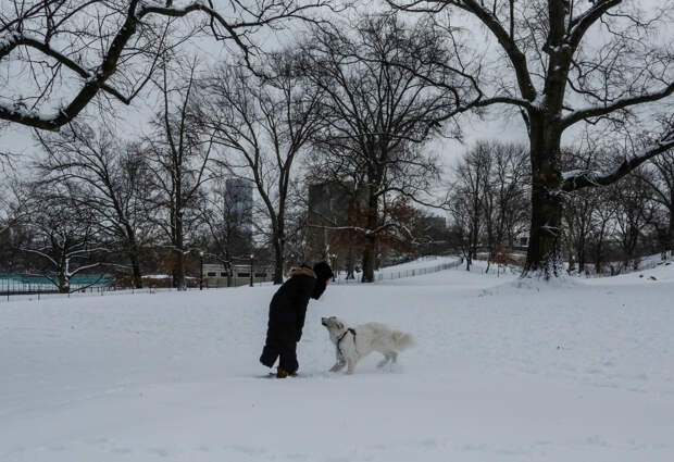 Россиянин побывал в США и описал местных фразой «кормят собак лучше, чем родственников»