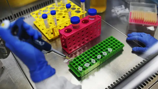 В Подмосковье запустили интерактивную карту пунктов приёма анализов на COVID-19