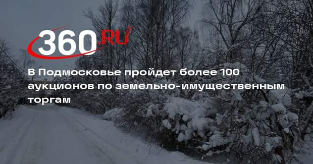 В Подмосковье пройдет более 100 аукционов по земельно-имущественным торгам