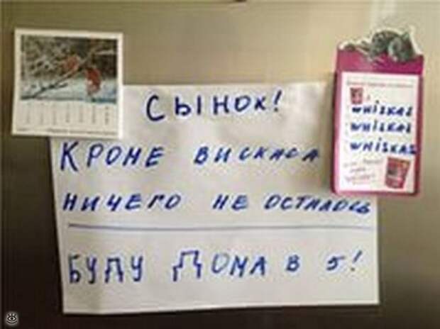 Смешные записки на холодильнике 21