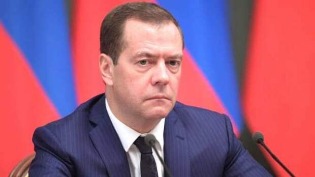 Только животный страх может предотвратить бойню в Европе, — Медведев