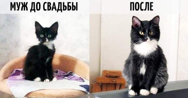 9 фотографий о том, как меняется жизнь после свадьбы