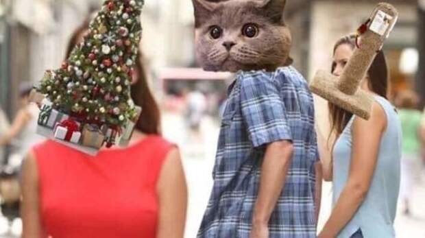 Прикольные картинки абавсём:D