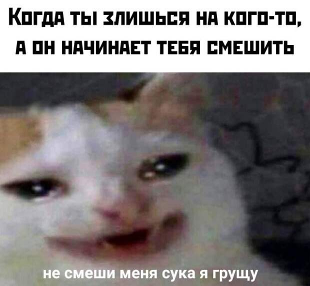 Прикольные картинки абавсём:D