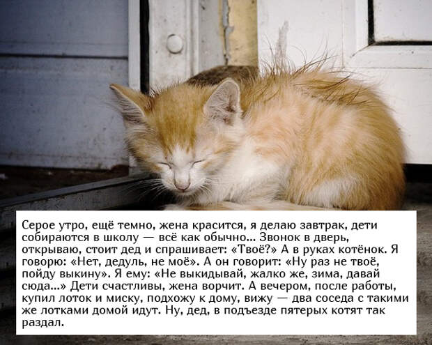 www.vsyako.net