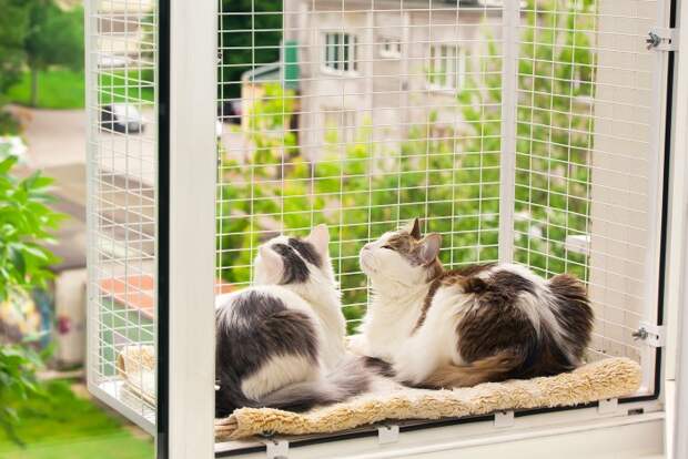 Есть разновидности с кошачьим балкончиком, чтобы животные могли проводить время на свежем воздухе / Фото: cs1.livemaster.ru