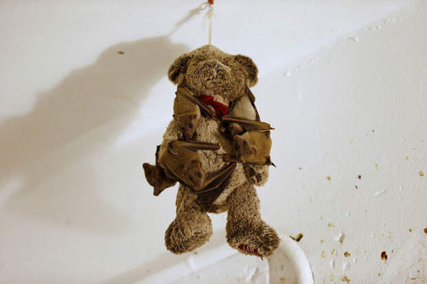 best-reuters-photos-2016-55-585796518e36c__880