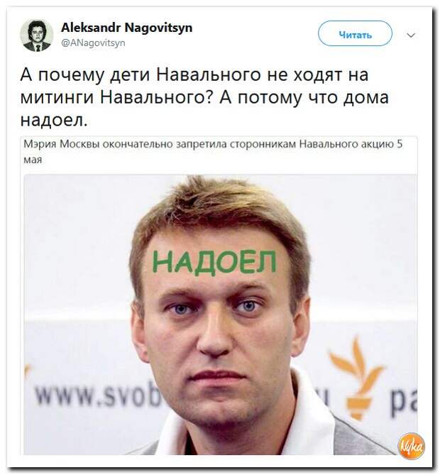 Навальный смешные картинки