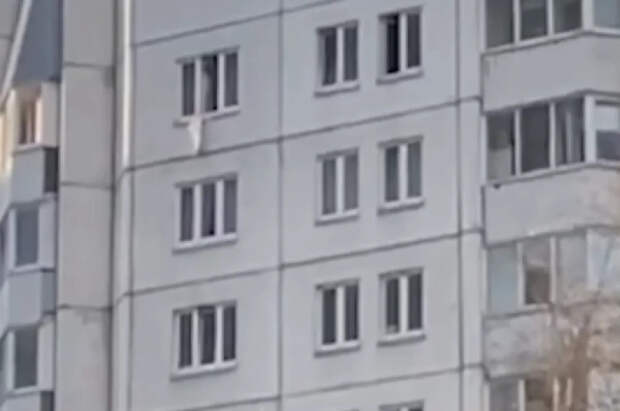 Появились кадры спасения выпавшего из окна 10-го этажа малыша в Петербурге