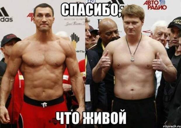 Бокс! Просто бокс!