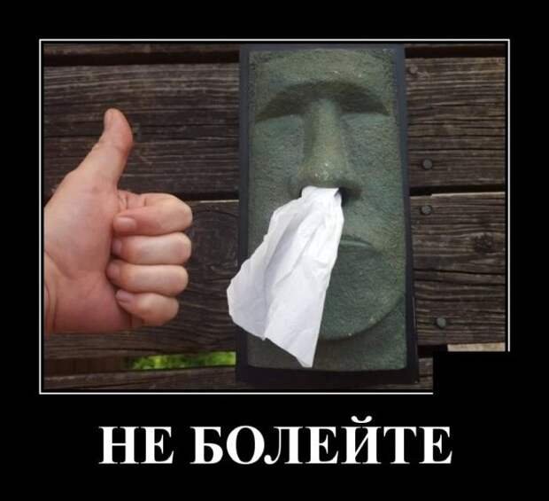 demotivatory-demotivator-smeshnye-demotivatory-demotivator-so-smyslom