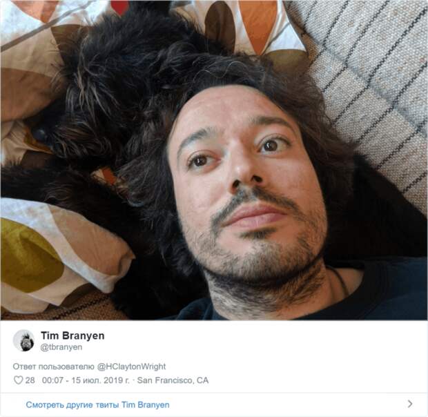 Sдин в один питомцы и их владельцы похожие друг на друга как две капли воды