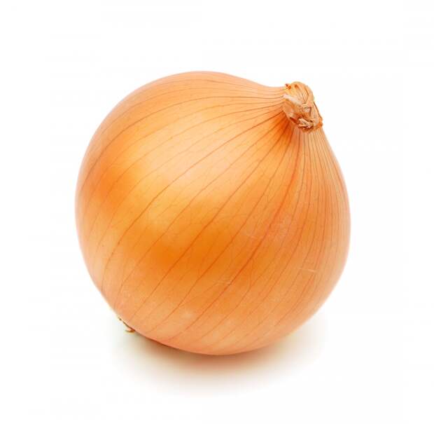 лук лук