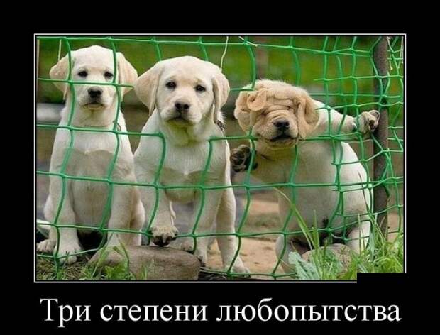 www.vsyako.net